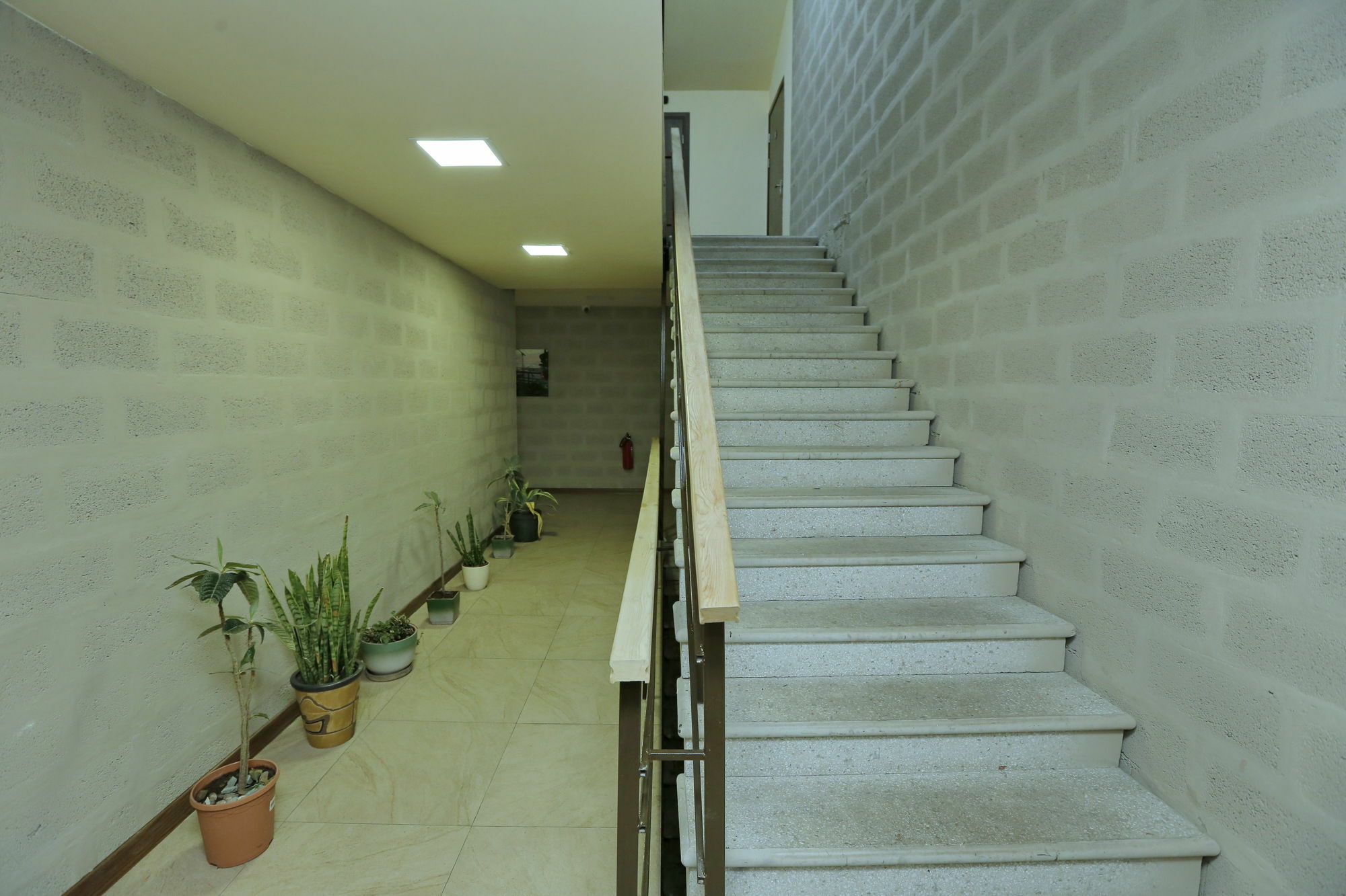 Grammy Apartments City Center Ereván Exterior foto